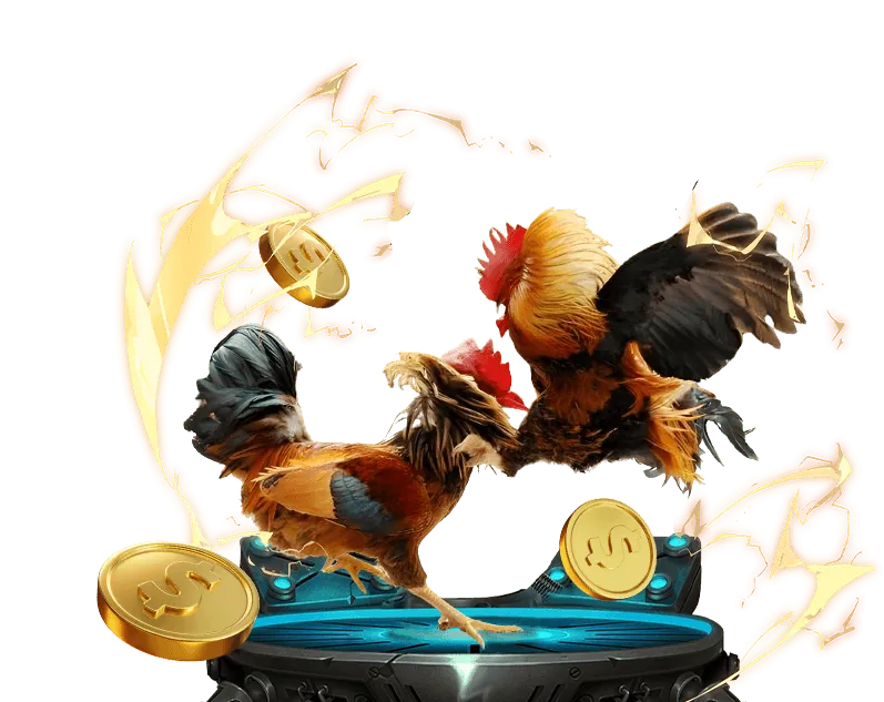 Người mới học cá cược 5 VIP